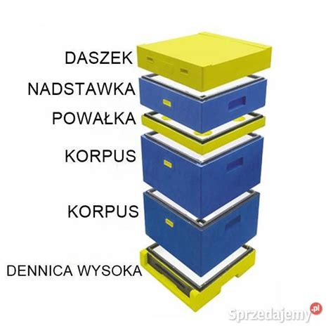 Ul Wielkopolski 10 ramkowy malowany styropianowy 2x korpus U Jaśliska