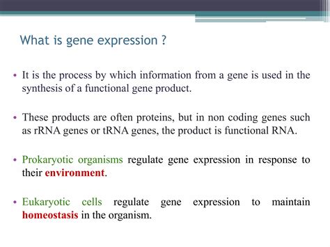 Transcriptional And Post Transcriptional Regulation Of Gene Expression