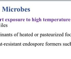 Exam Introductory Microbiology Chapter Homework Flashcards Quizlet