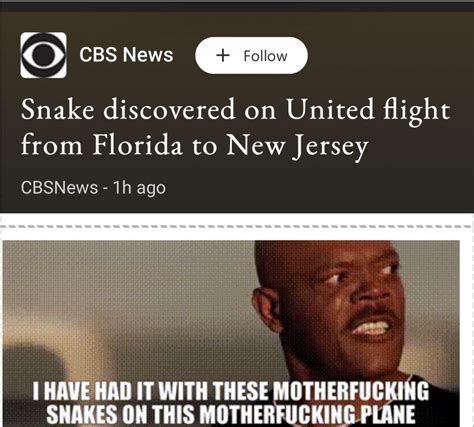 Snakes On A Plane Meme