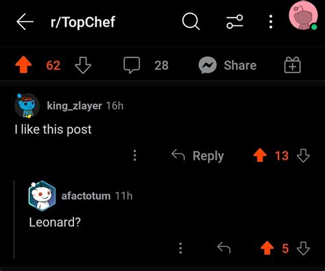 Leonard Likes Top Chef Runexpectedcommunity