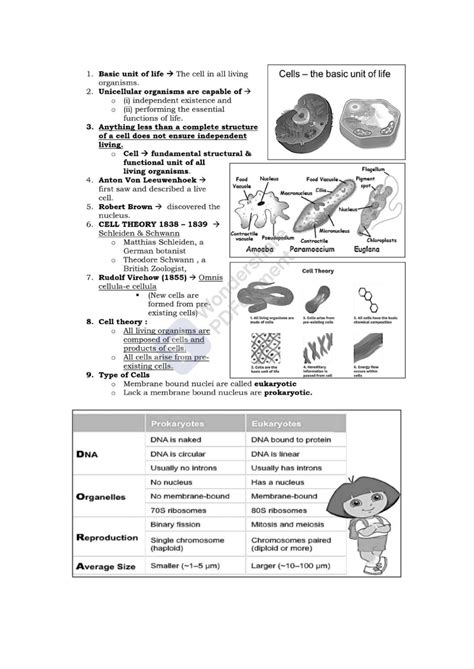 Solution Cell The Unit Of Life Mcat Notes Exam Cell Theory And