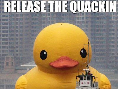 281 Best Rubber ducky images in 2019 | Funny memes, Funny pictures, Funny