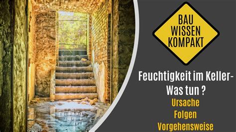 Feuchtigkeit Im Keller Was Tun Ursache Folgen Vorgehensweise