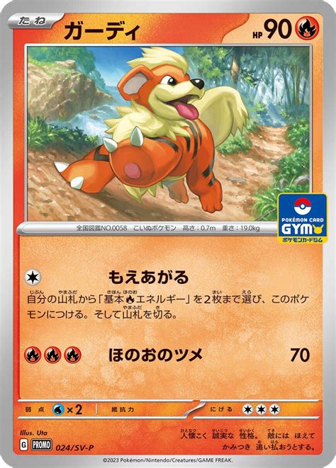 New Scarlet Violet Pokemon Card Gym Promo Cards Revealed Features