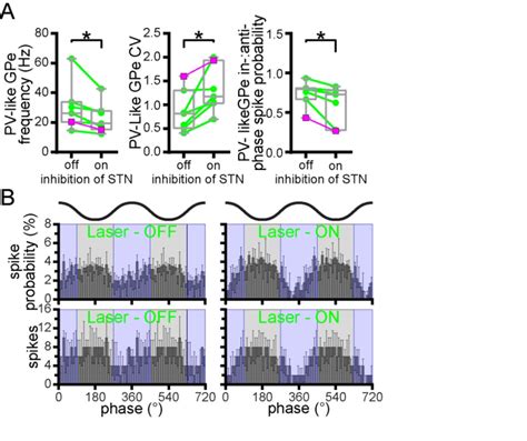 In 6 OHDA Injected Mice Putative PV GPe Neurons Were Relatively Uniform