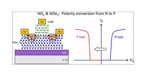 P Type Conversion Of Ws And Wse By Position Selective Oxidation