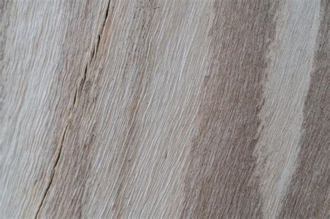 premium photo background   texture    stump