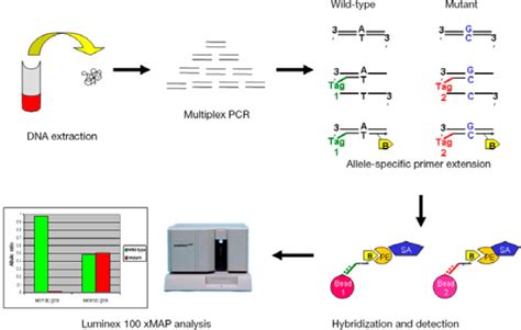 The Use Of Luminex Assays To Measure Cytokines Journal Of Investigative Dermatology