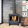 Nrg Defra Kw Contemporary Wood Burning Multifuel Woodburning Stove Eco