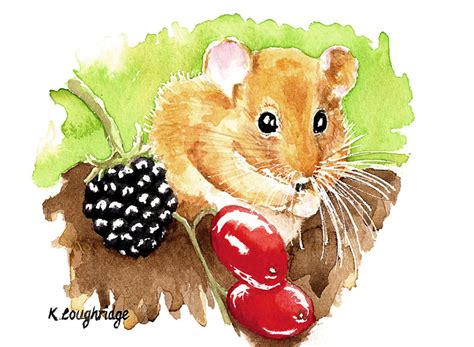 Hazel Dormouse | Original Watercolour | Karen Loughridge Fine ArtKL Art