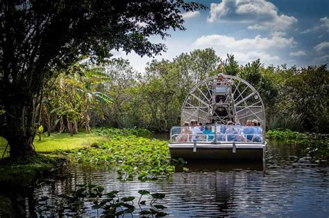 Miami: Everglades Safari Park Airboat Tour and Park Entrance | GetYourGuide