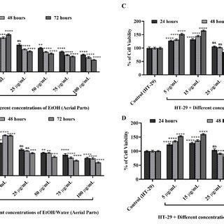 Detection Of MMP 2 Enzyme Activity By Gelatin Zymography In HT 29 Cell