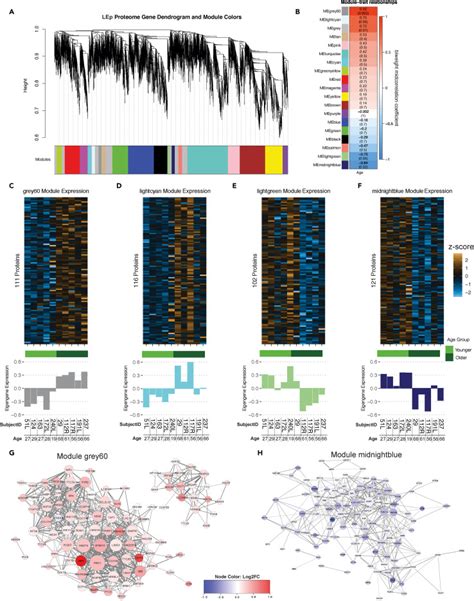 Deep Proteome Profiling Of Human Mammary Epithelia At Lineage And Age