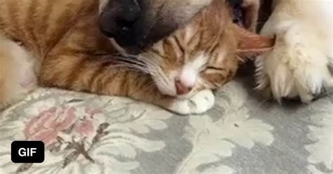 Best Friends 9gag