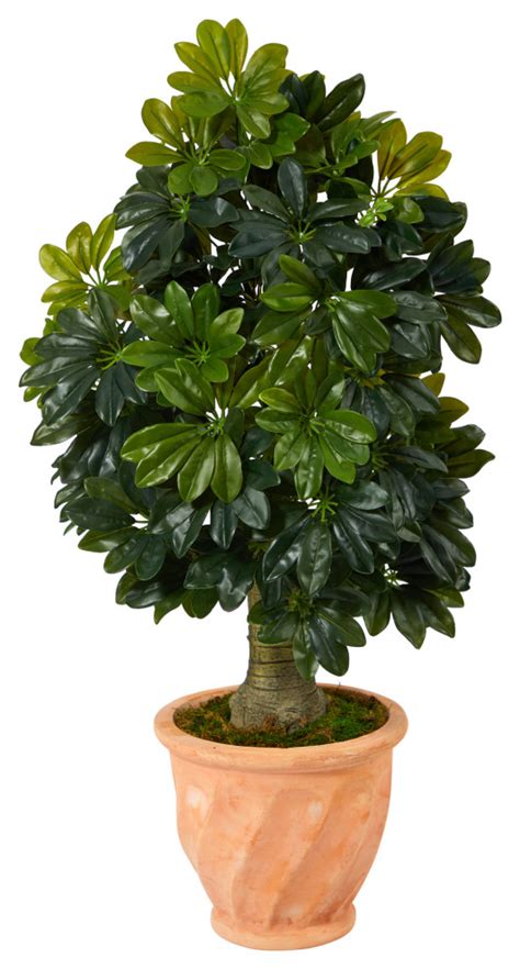 39 Schefflera Artificial Tree Terra Cotta Planter Real Touch Modern Artificial Plants And