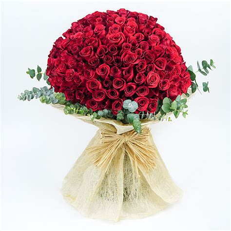 Online Roses Grand Expressions Gift Delivery In Uae Fnp