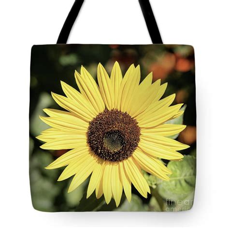 Swiss On Twitter Rt Tanyasmith Sunflower Tote Bags For Sale