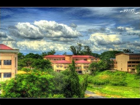 NIT Silchar: Cutoff, Placement, Fees, Courses, Admission 2025, Ranking