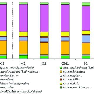 Taxonomic Composition Of Archaeal Communities In The Anaerobic Reactors