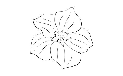 Premium Vector | Free vector beautiful hand drawing and sketch of a ...