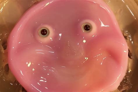 Robot Face With Living Skin Can Smile Like A Human