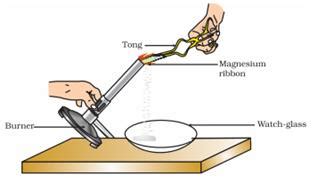 A Magnesium Ribbon Is Burnt In Air A Student Made The Following