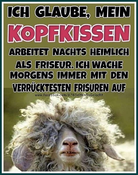 Pin Von Birgit Ohl Auf Lustig Guten Morgen Witzig Guten Morgen