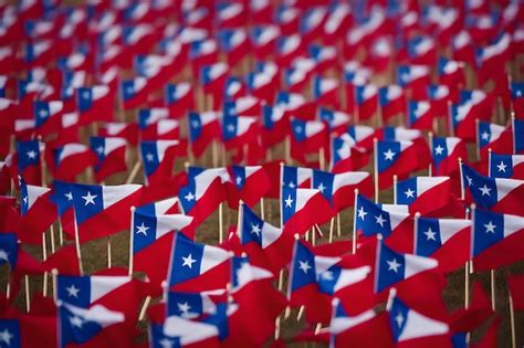 Premium Ai Image A Flag Is Displayed In A Field Of Flags