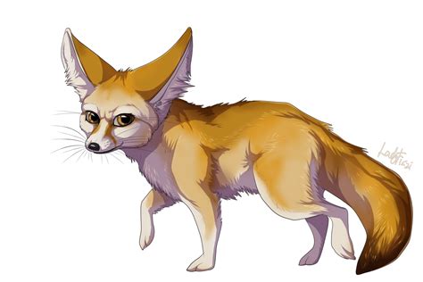 Fennec Fox Png Images Transparent Free Download