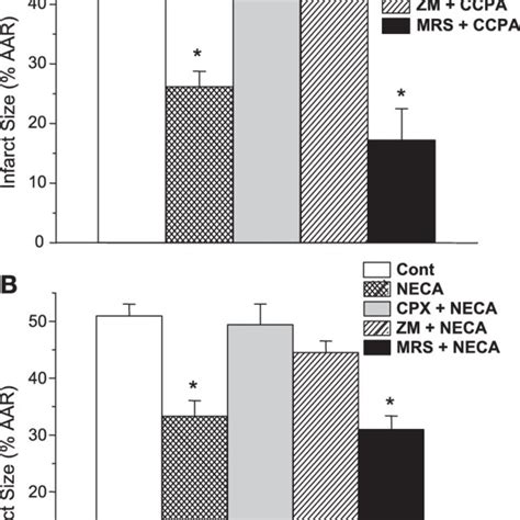 Effects Of The Three Adenosine Receptor Antagonists On The Hemodynamic Download Scientific