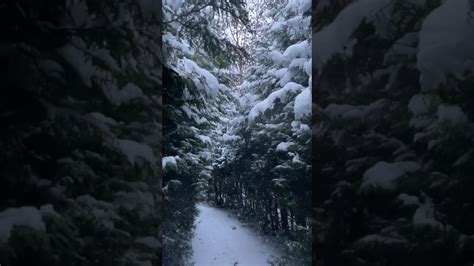 Воздушные снежные хлопья #shorts #земнойирий #природа #зима # ...