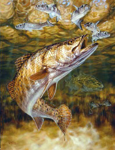 Speckled Wallpaper Fish Fish Bass Northern Largemouth Bass Trout