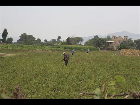 La Industria De Chiclayo Salud Y Saneamiento Exigencia En La Regi N