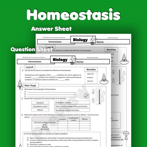 Homeostasis Home Learning Worksheet GCSE Rocketsheets Co Uk