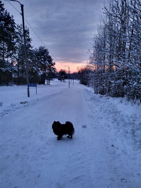 jennyymariaa.blogg.se - february 2023 