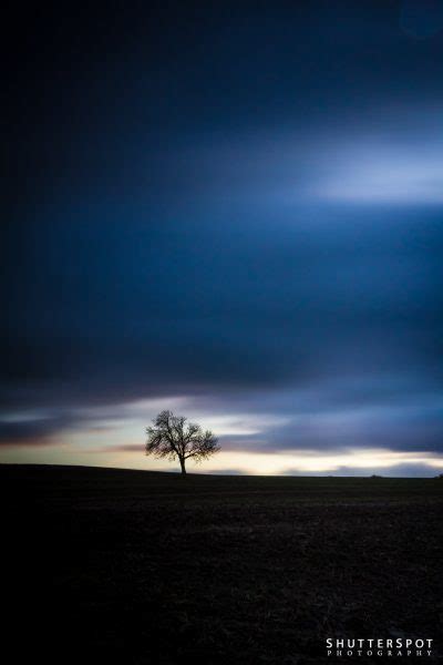 Lone Tree Sunset Shutterspot Photography