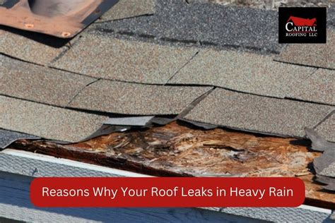 7 Reasons Why Roof Leaks In Heavy Rain (And How To Fix It)