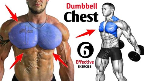 6 Fastest Effective Chest Workout With Dumbbells Dumbbell Chest