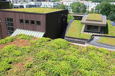 LiveRoof Hybrid Green Roofs Showcase View