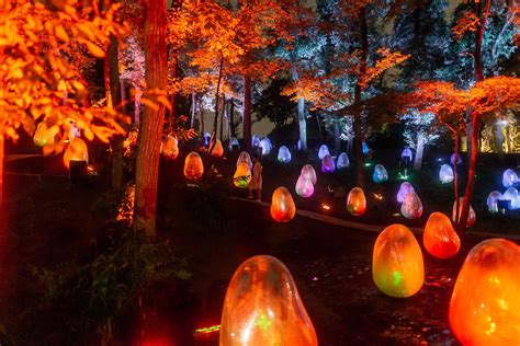 Une Installation Immersive Prend Le Contr Le Dun Jardin Botanique