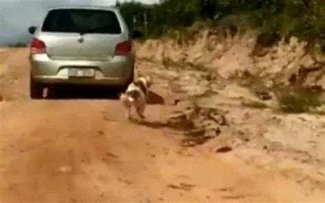 Cachorro Amarrado Pelo Pesco O E Arrastado Por Carro No Cear