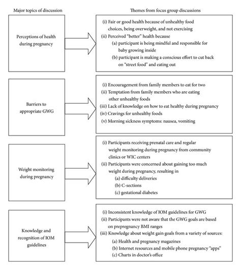 Overview Of Focus Group Topics And Emerging Themes Download Scientific Diagram