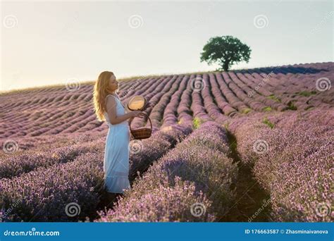 Woman In A Lavender Field Stock Image Image Of People 176663587