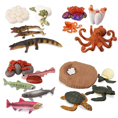 Buy Toymany 17pcs Sea Animal Life Cycle Figurines Of Green Sea Turtle