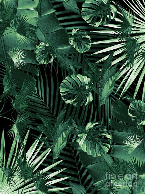 Tropical Jungle Leaves Night Siesta 1 Tropical Decor Art Mixed Media By Anitas And Bellas Art