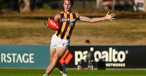 Vfl Pre Season Wrap Hawks Finish Strongly Over Dons