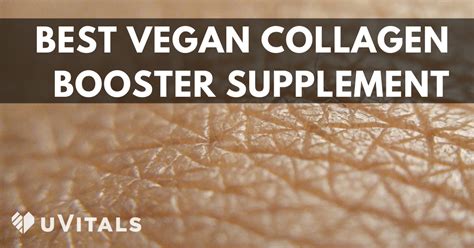 Vegan Collagen Supplements The Best Vegan Collagen Booster