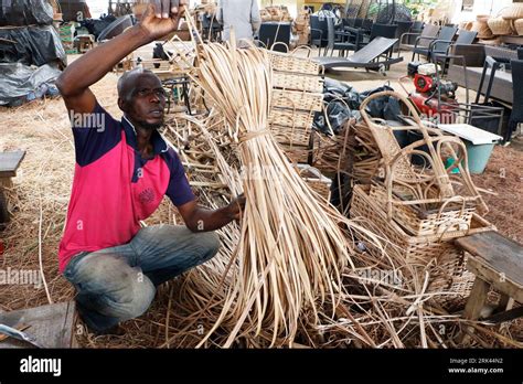 A Man Processes Cane Wood For Weaving At Nigeria S Largest Cane