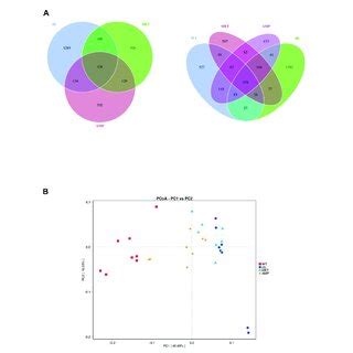 Difference In Gut Microbiota Composition From C Bl J Mice And Db Db